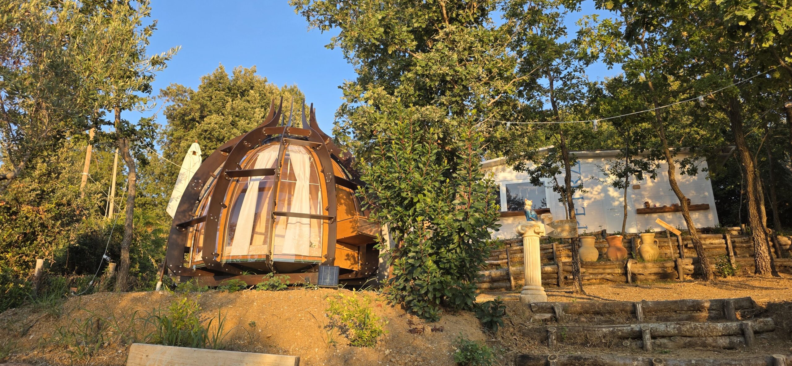 Dormire in un olivario in Calabria: la magia di Petra Glamping